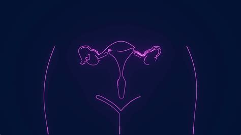 Image result for Female Reproductive System Animation