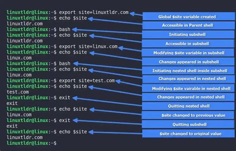 Image result for Subshell Definition