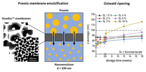 Premix Membrane Emulsification: Preparation and Stability of Medium ...