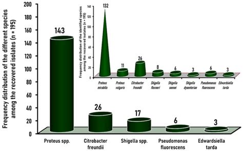 Multidrug-Resistant Proteus mirabilis and Other Gram-Negative Species ...