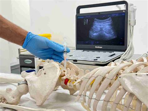 Image result for Paraspinal Injection