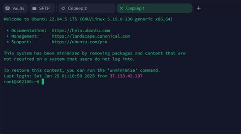 Termius: подключение к серверу и управление нодами (гайд для Windows и ...
