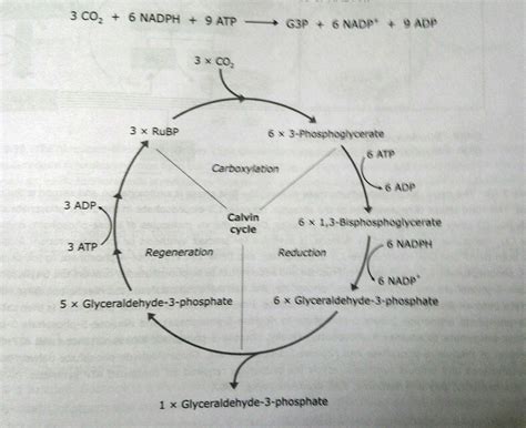 The following statements were made with the assumption that the ...