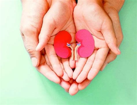 बिहार और बंगाल की माताएं दो बेटों को देंगी नया जीवन