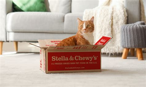 Find Stella & Chewy’s at Meijer - in Stores & Online