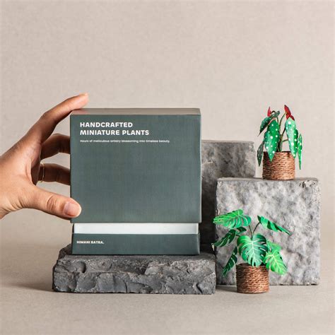 Monstera & Polka Dot Begonia| Set of 2 | Miniature Paper Plant – Himani ...