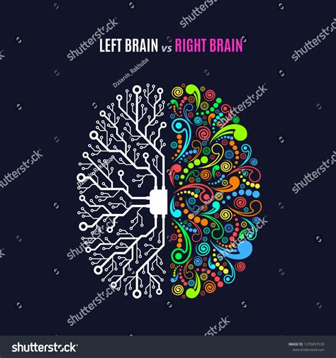 Right Brain Left Brain 的图像结果