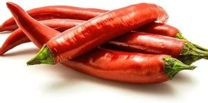Biosnyg ™PSAU-843 Cayenne Chilli Seed Price in India - Buy Biosnyg ...