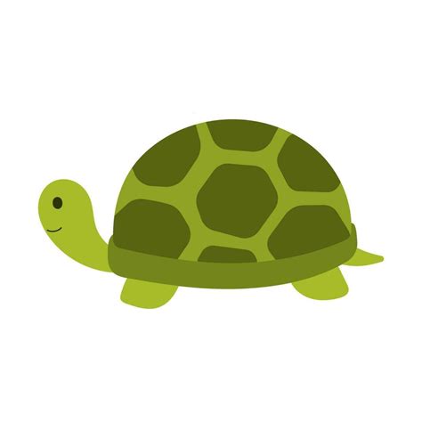 Image result for Turtle Graphics Art