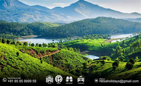 Monsoon Magic in Munnar: Best Places to Visit & Where to Stay