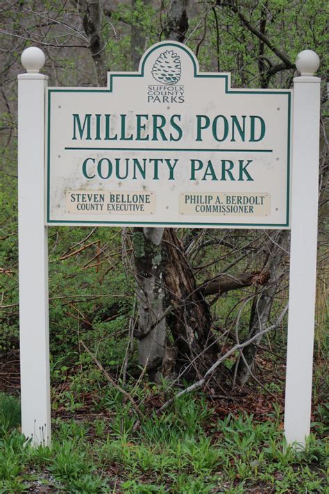 Millers Pond County Park | Finding Feathers Long Island