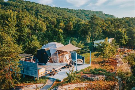 6 Places to See Wild Animals in Tennessee - Tennessee Home and Farm