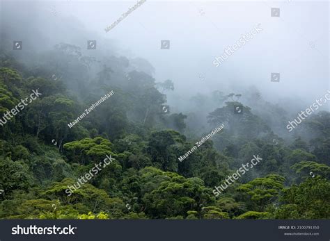 20,365 Brazil climate Images, Stock Photos & Vectors | Shutterstock