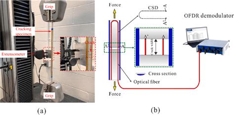 Image result for Optical Module Test