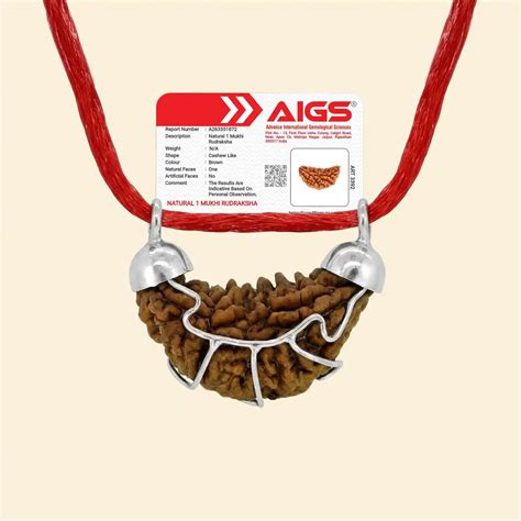 5 Mukhi Rudraksha | Panchmukhi Rudraksha | Health Rudraksha