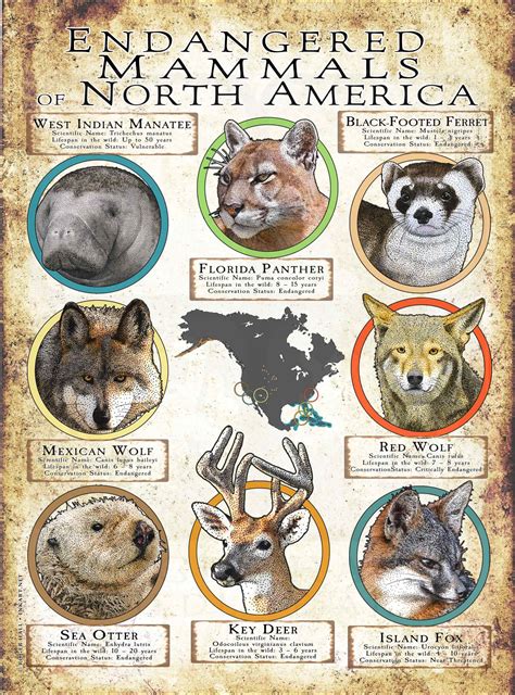 North American Endangered Animals List