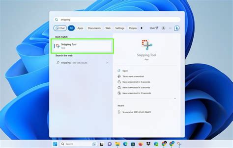 Image result for Enable Screen Capture Windows 11