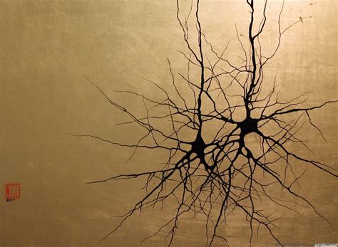 Image result for Pyramidales Prinzip Explained