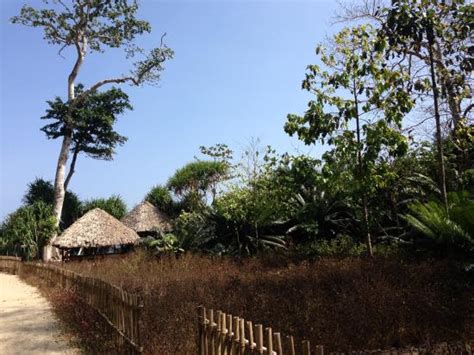 Diglipur Beach - 2020 What to Know Before You Go (with Photos ...