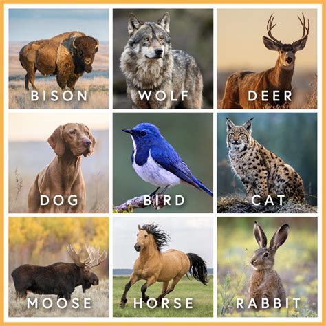 Pick Your Favorite Animal, And We’ll Show You Your New Favorite Artwork ...
