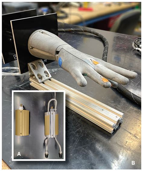 Advancing Human Spaceflight Safety - ScienceX Innovations