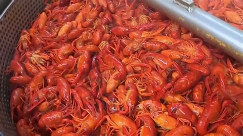 Texas crawfish season: Why prices should be lower this year | khou.com