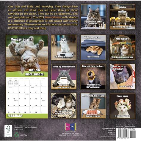 Meow Memes 2025 Wall Calendar - Calendars.com