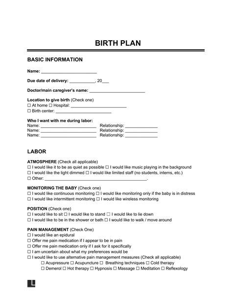 Free Birth Plan Template | PDF & Word
