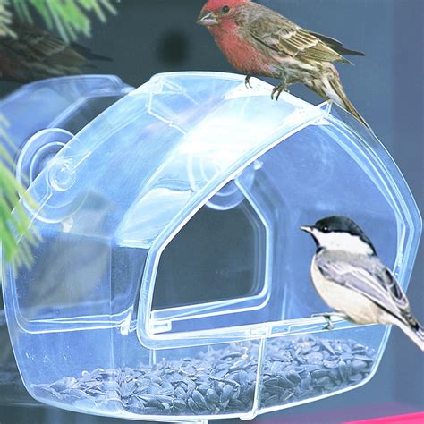 Bird Feeder In Your Window at Annalisa Hanley blog