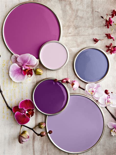 Purple Paint Colors Lowes at John Mcfadden blog