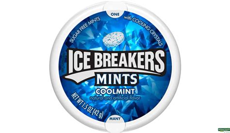 Buy Ice Breakers Mints Coolmint 42g Online at Best Prices | Wellness ...