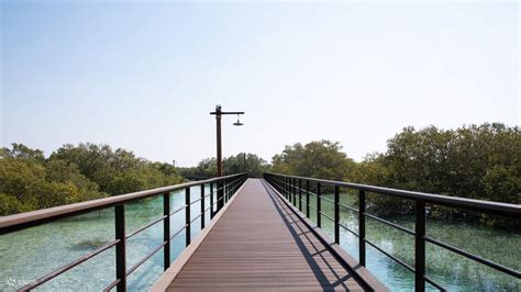 Jubail Mangrove Park ticket in Abu Dhabi - Klook India
