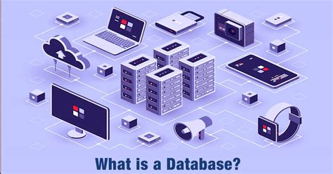 What is a Database? Types, Importance and Purpose