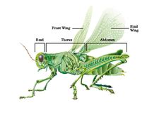 Image result for External CSS File