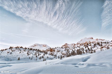 雪冬天 库存图片. 图片 包括有 着色, 中立, 下雪, 有风, 横向, 冬天, 叶子, 线路, 结构树 - 82363
