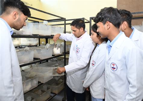 CIP Raipur | Columbia Institute of Pharmacy (www.columbiaiop.ac.in)
