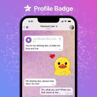 Emblem Profil. Pelanggan Premium mendapatkan emblem spesial yang muncul ...