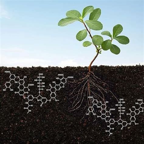 Gardenica Humic Acid For Plant Growth and improves Plant (PACK OF 10 ...