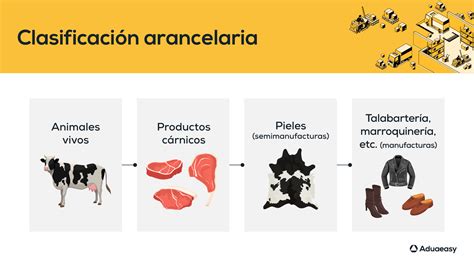 ¿Qué Es La clasificación arancelaria en México?