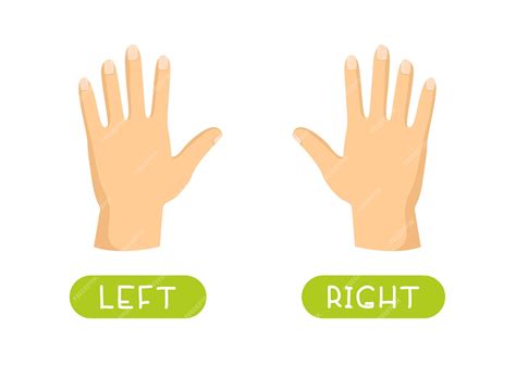 Izquierda In English