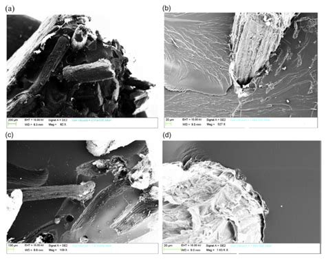 Recent Developments in Luffa Natural Fiber Composites: Review