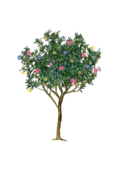 Kaathal Black Dress – TREE AND POETRY