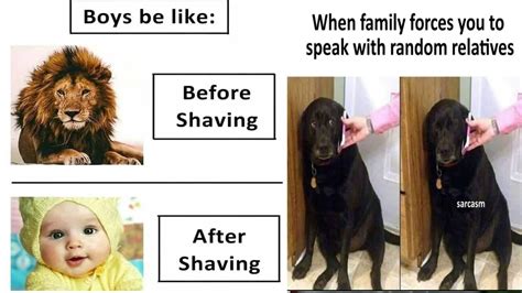 Education Meme 的图像结果