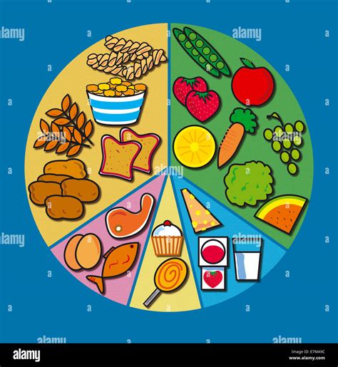 Balanced Diet Table 的图像结果