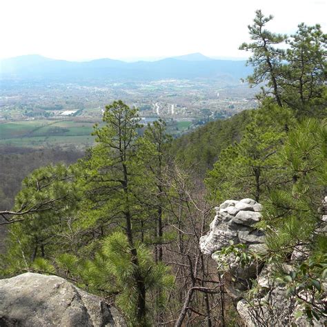 Read Mountain Preserve (Roanoke) - 2023 Lohnt es sich? (Mit fotos)