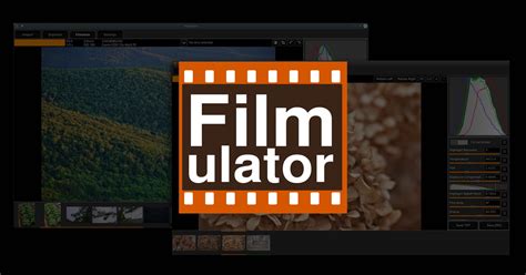 Image result for Filmulator Tutorial