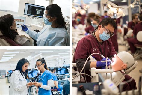 Pre-Dental Experience | Touro College of Dental Medicine | Touro University