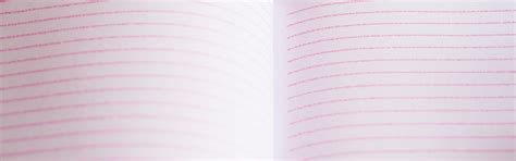 Image result for LP Model Notebook