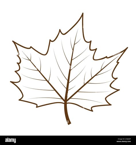 isolated autumn leaf outline drawing vector illustration EPS10 Stock ...