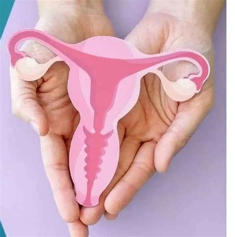 Understanding the Importance of Pap Smear Tests for Cervical Cancer ...